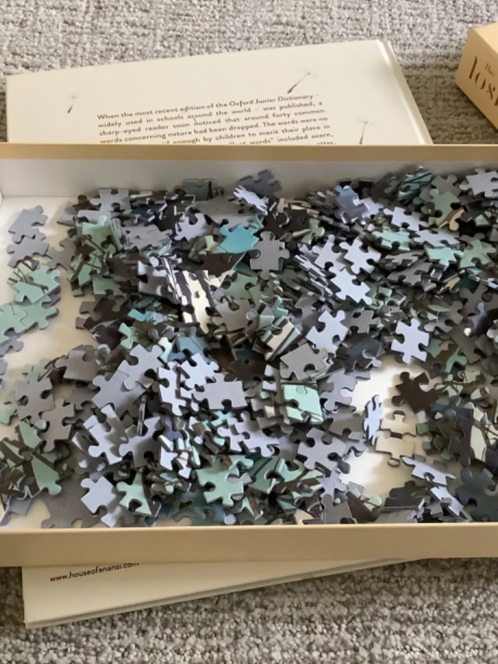 Bundle:  The Lost Words Book and Puzzle - Picture 11 of 13